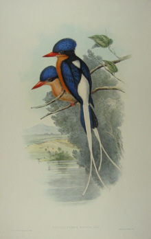 John Gould's Birds of Australia